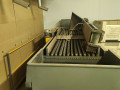macadamia-nut-sizer-small-0