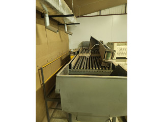 Macadamia nut sizer