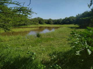463 Hectare Farm For Sale Between Swartruggens and Groot Marico North West near Rustenburg