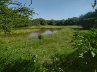 463-hectare-farm-for-sale-between-swartruggens-and-groot-marico-north-west-near-rustenburg