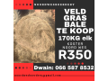 veld-gras-bale-te-koop-small-0
