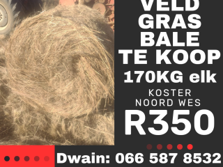 veld-gras-bale-te-koop