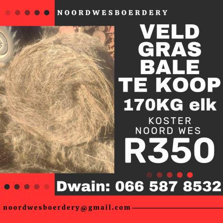 veld-gras-bale-te-koop-big-0