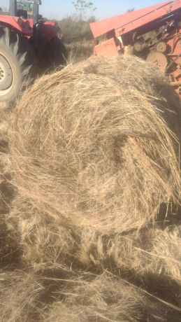 veld-gras-bale-te-koop-big-1