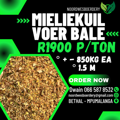 feed-available-big-4