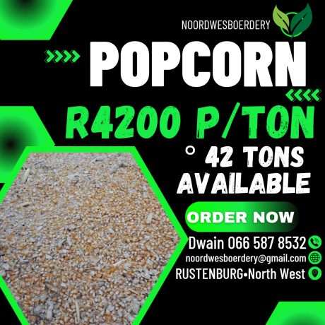 feed-available-big-1