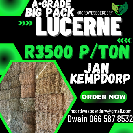 feed-available-big-0