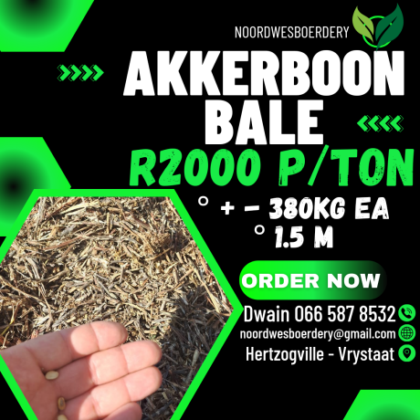 feed-available-big-3