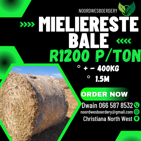 feed-available-big-2