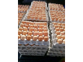 eggs-and-chicken-pieces-of-all-sizes-for-sale-small-1