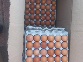 eggs-and-chicken-pieces-of-all-sizes-for-sale