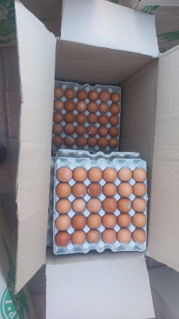 eggs-and-chicken-pieces-of-all-sizes-for-sale-big-0