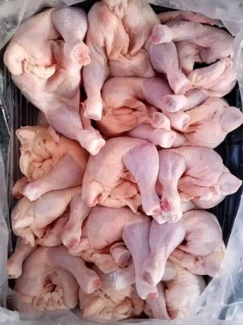 eggs-and-chicken-pieces-of-all-sizes-for-sale-big-4