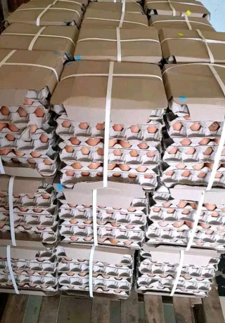 eggs-and-chicken-pieces-of-all-sizes-for-sale-big-2