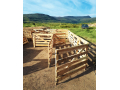lambing-pens-shearing-floors-auction-docks-dosing-kraals-hospital-bays-and-more-small-4