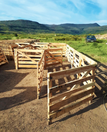 lambing-pens-shearing-floors-auction-docks-dosing-kraals-hospital-bays-and-more-big-4