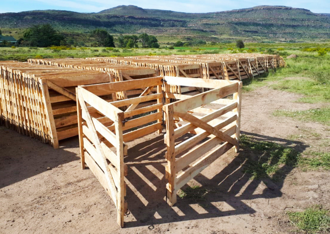 lambing-pens-shearing-floors-auction-docks-dosing-kraals-hospital-bays-and-more-big-3