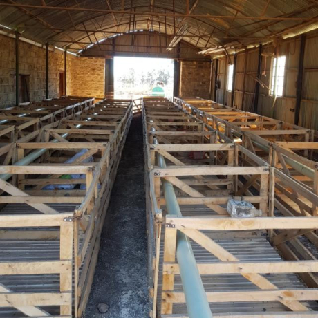 lambing-pens-shearing-floors-auction-docks-dosing-kraals-hospital-bays-and-more-big-2