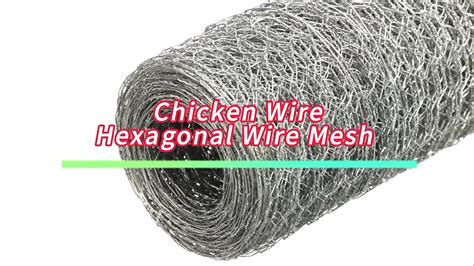 chicken-mesh-1200mmx25mmx50m-big-4