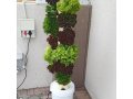 aeroponics-vertical-farming-small-1