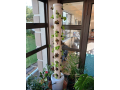 aeroponics-vertical-farming-small-0