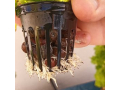 aeroponics-vertical-farming-small-2