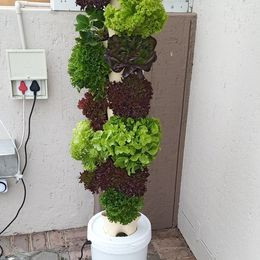 aeroponics-vertical-farming-big-1