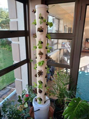 aeroponics-vertical-farming-big-0
