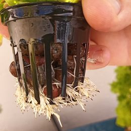 aeroponics-vertical-farming-big-2