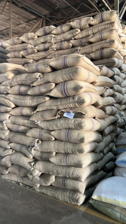 green-coffee-beans-arabica-coffee-grade-aa-a-and-ab27719755564-big-1