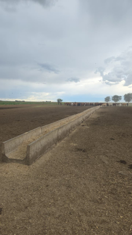 sement-voerkrippe-900x2450cm-big-0