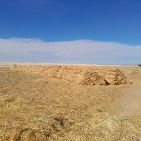 canola-strooi-bale-te-koop-big-0