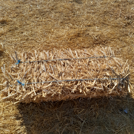 canola-strooi-bale-te-koop-big-1