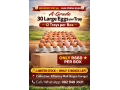 a-grade-large-eggs-small-0