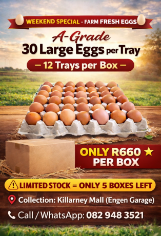 a-grade-large-eggs-big-0