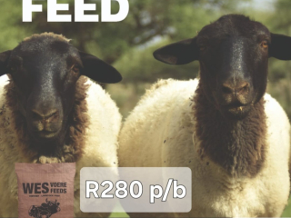 high-fibre-livestock-feeds-available
